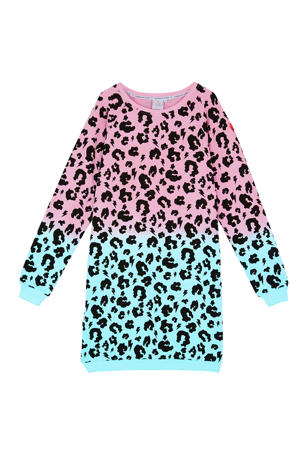 Ombré Leopard Jumper Dress – Scamp & Dude