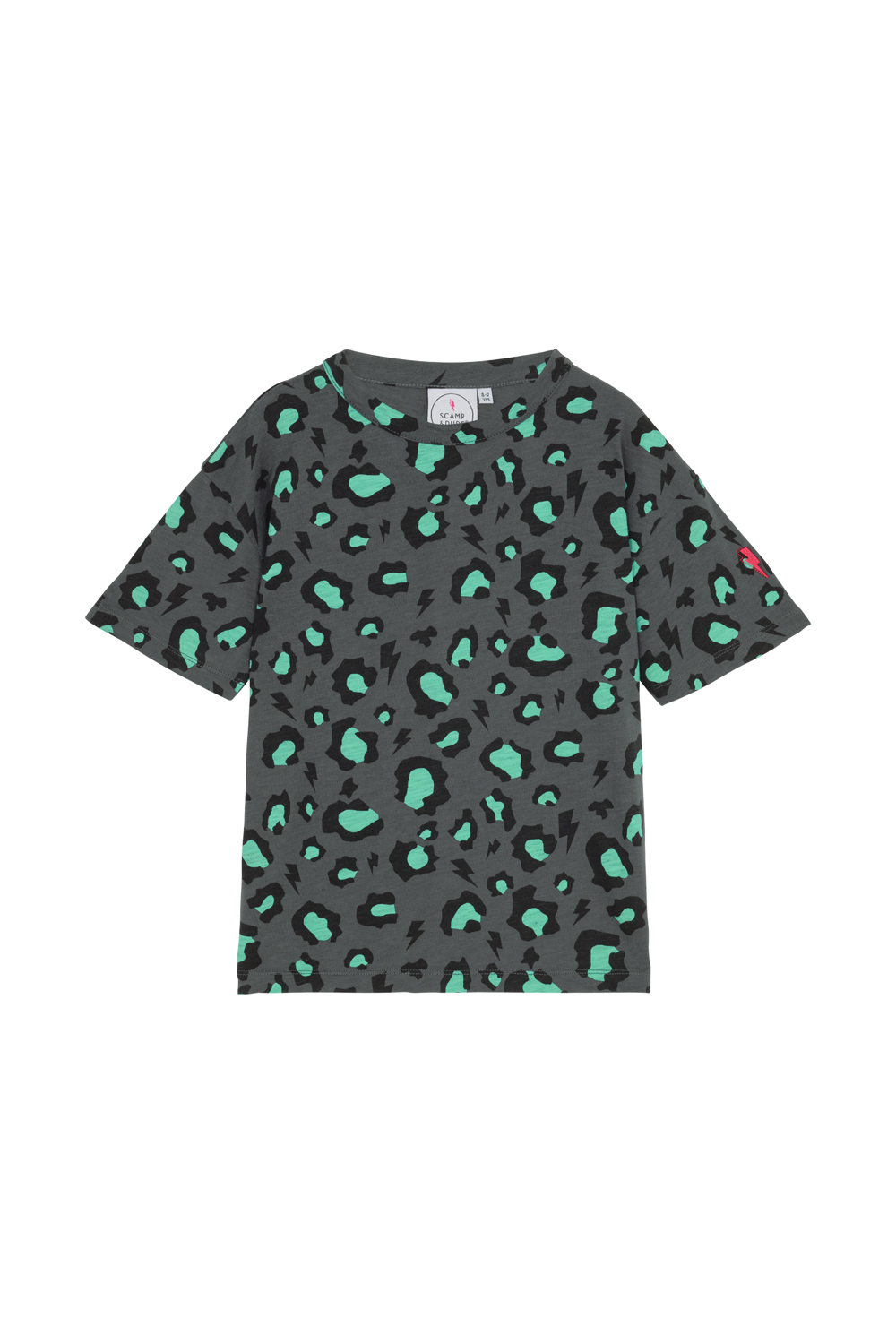 Kids Grey with Green Snow Leopard T-shirt – Scamp & Dude